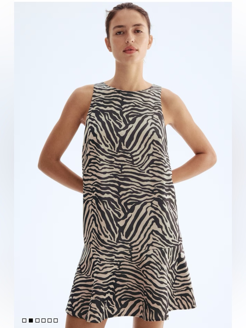 H&M Beige and Black Zebra Print Mini Dress